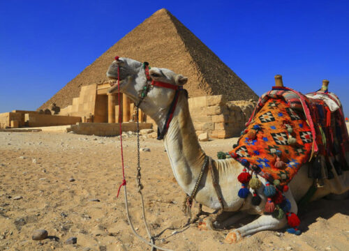 Rejseguide: De Bedste Tidspunkter at Besøge Egypten – Dykning, Safari og Kulturelle Oplevelser